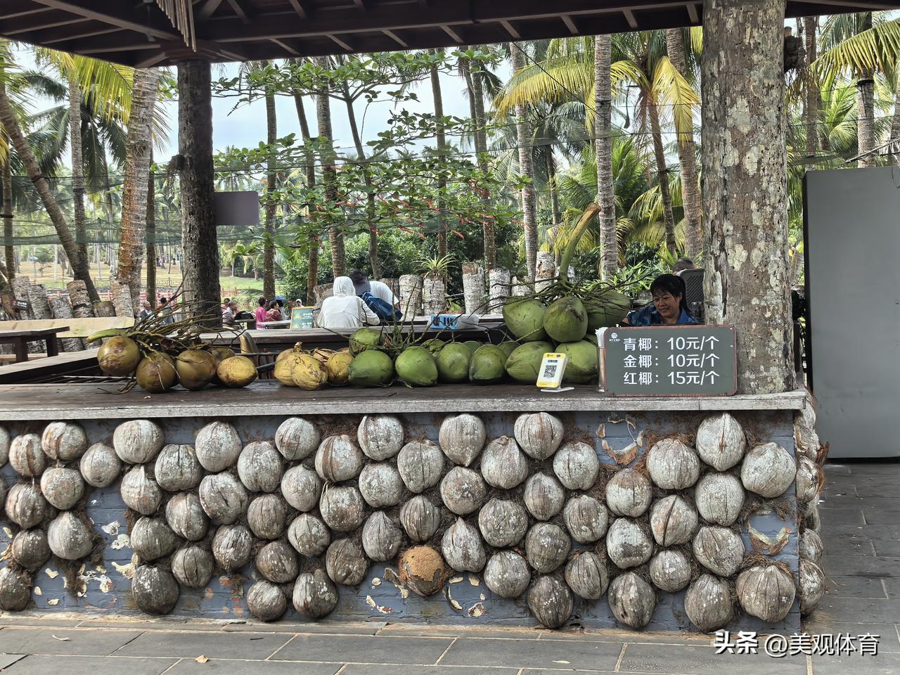 椰子大观园里的小摊。这里的椰子售价比街头小摊上的要贵3～4元。