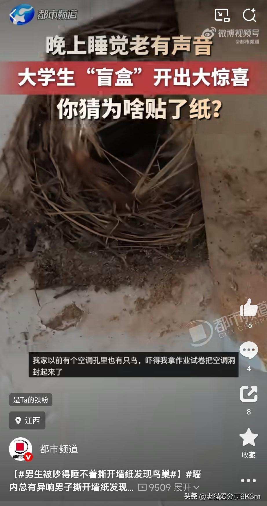 江西一小伙最近快被逼疯了。
连续好几个晚上，房间里总传来窸窸窣窣的怪响，翻来覆去