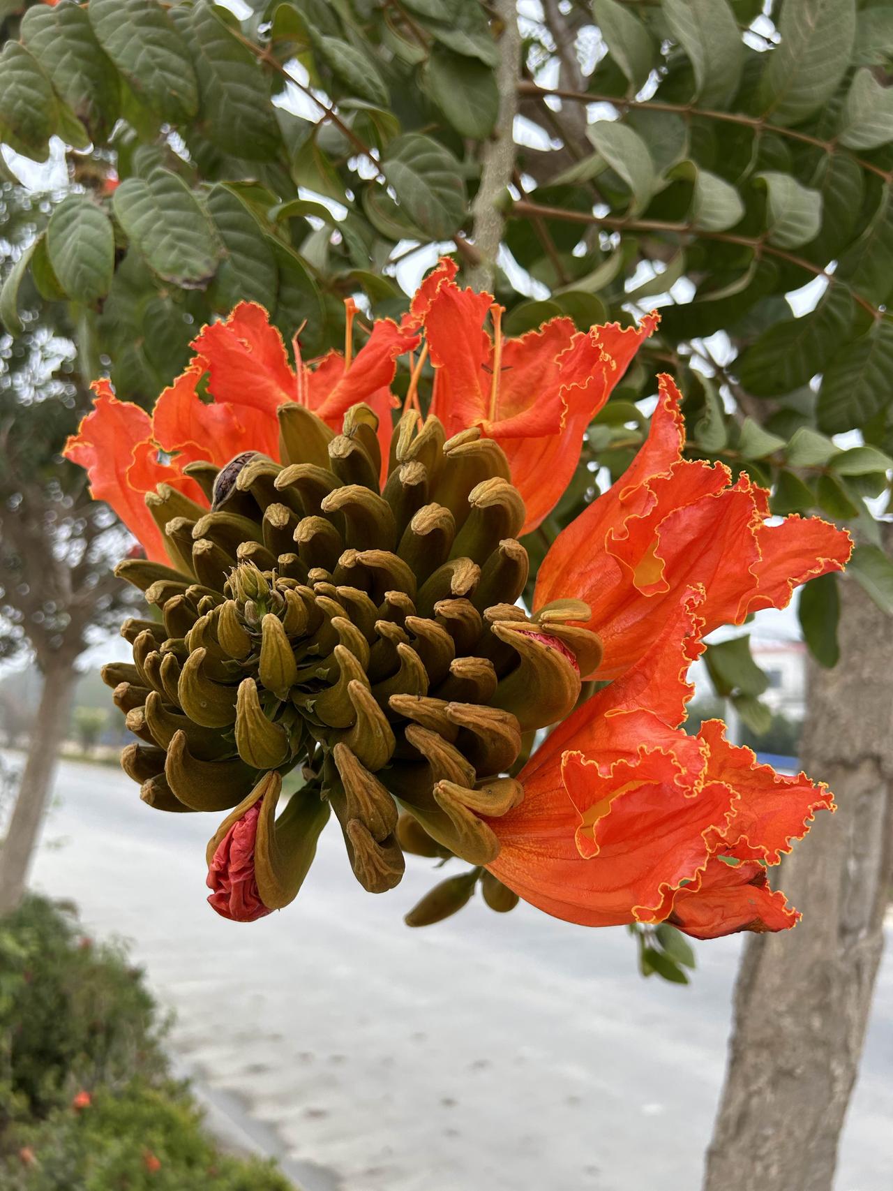 能让别人快乐的人，​‎͏ 
心底一定藏着善良与温柔。

见不得人难过，
总想着