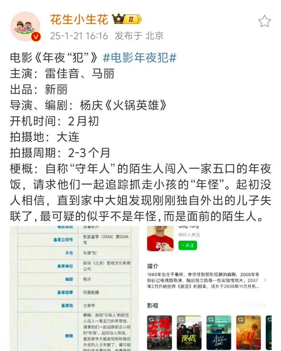 相对于主演阵容来说，导演有点弱了 