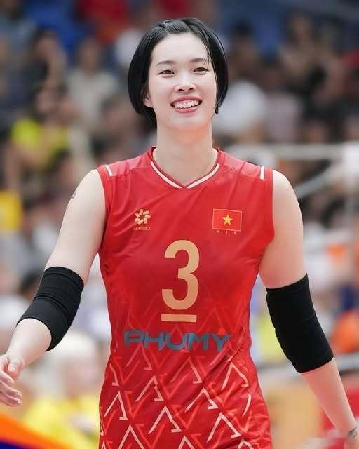 国际排坛动态越南女排越南VTV平奠隆安方面表示：截至目前，越南国手陈氏清翠前往海