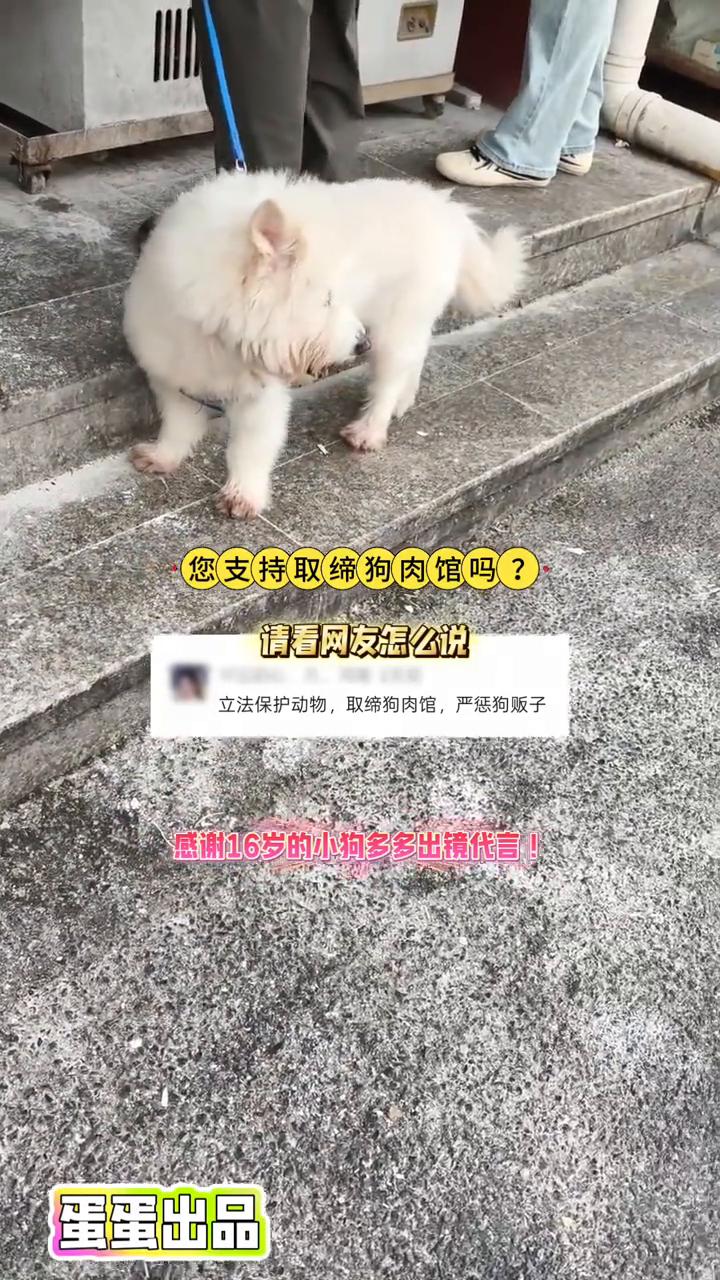 您支持取缔狗肉馆吗？请看网友怎么说。
立法保护动物，取缔狗肉馆，严惩狗贩子。感谢