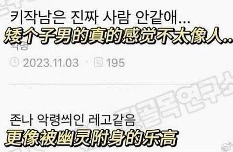 韩女可是说出经典金句“矮个子男的真的感觉不太像人，更像被幽灵附身的乐高” 