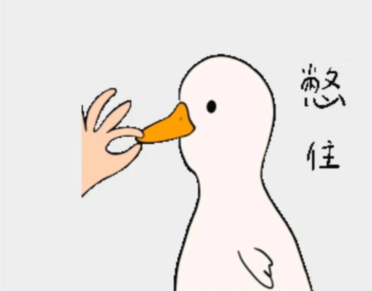“针”是的～

同事小姐姐一嗓子：
“快递两根针给我。”

我还在纳闷，误以为