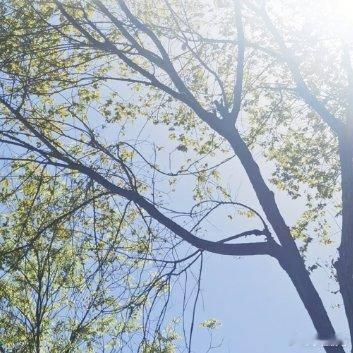 被忽略的早晨六点你见过早晨六点的城市吗？不是加班到六点，是睡够了自然醒的那种。天