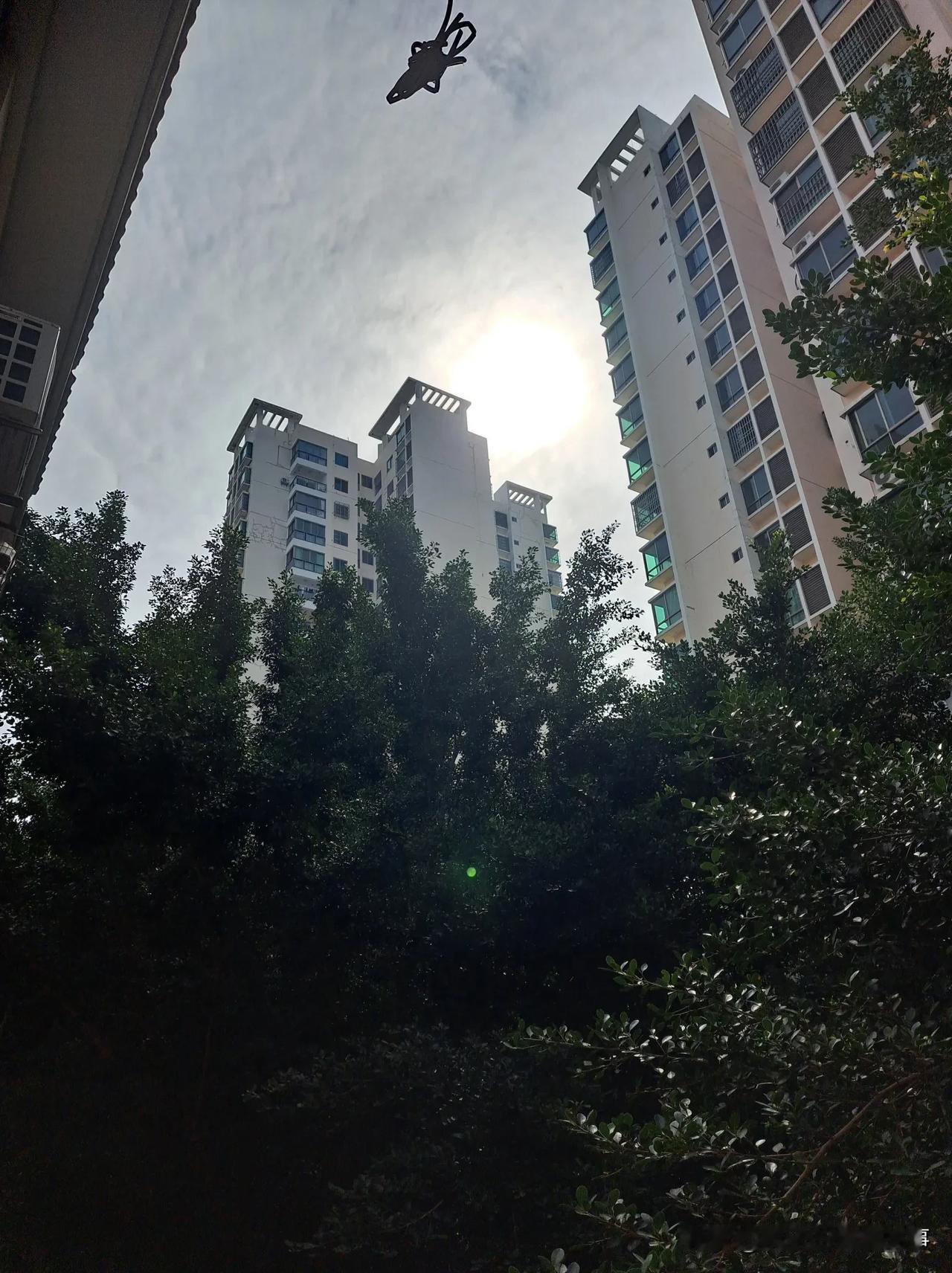 《长舌妇》
 
昨天，我就犯了一个错误，与一位长舌妇邻居聊起了另一位邻居。
 