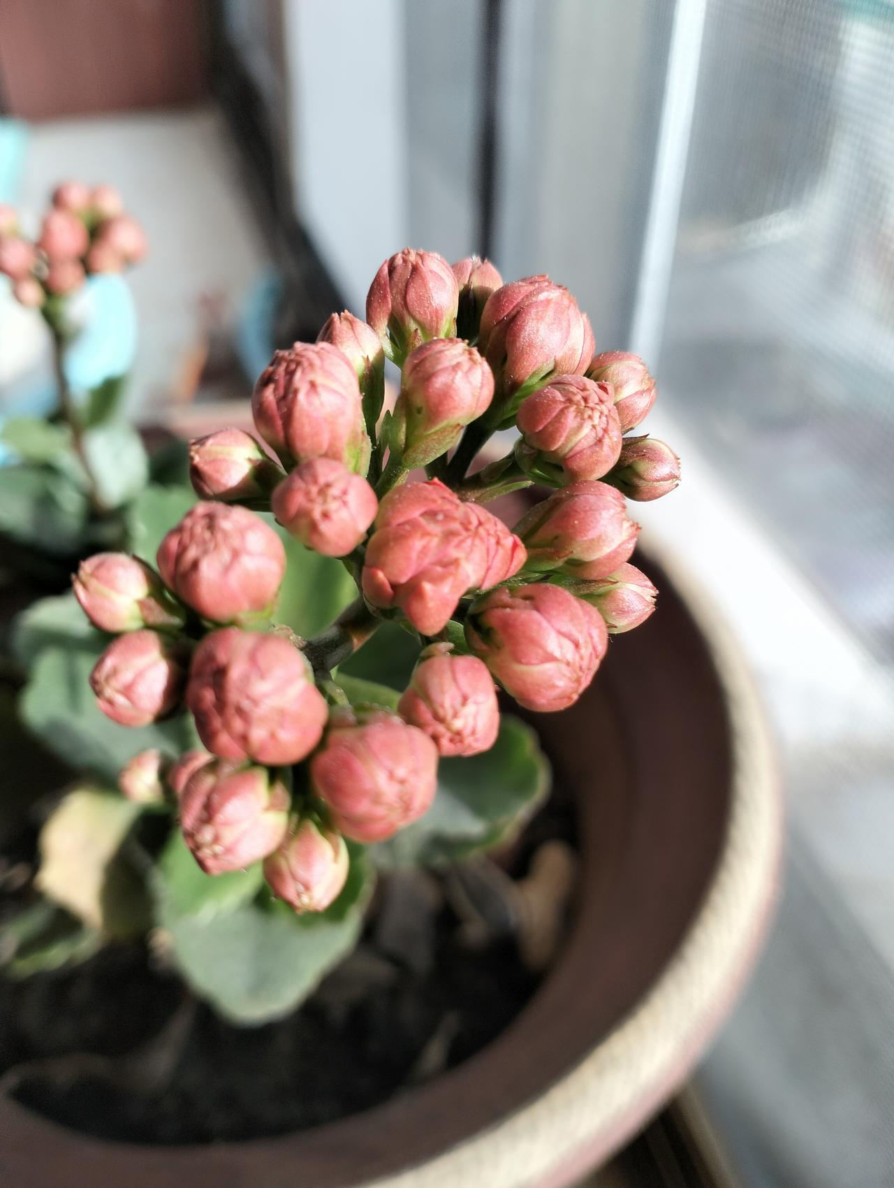 贷款买了一辆奥迪A6花了24万，就为了25岁的儿子能娶到媳妇。
邻居大哥为了儿子