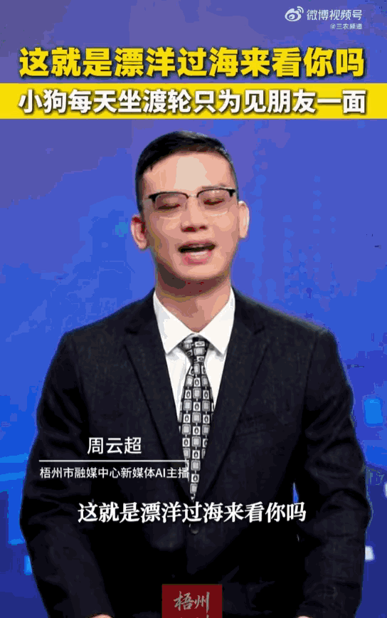 天下之大无奇不有！湖北荆州，一只小黑狗，为了能天天和长江对岸的“好哥们”相聚，竟