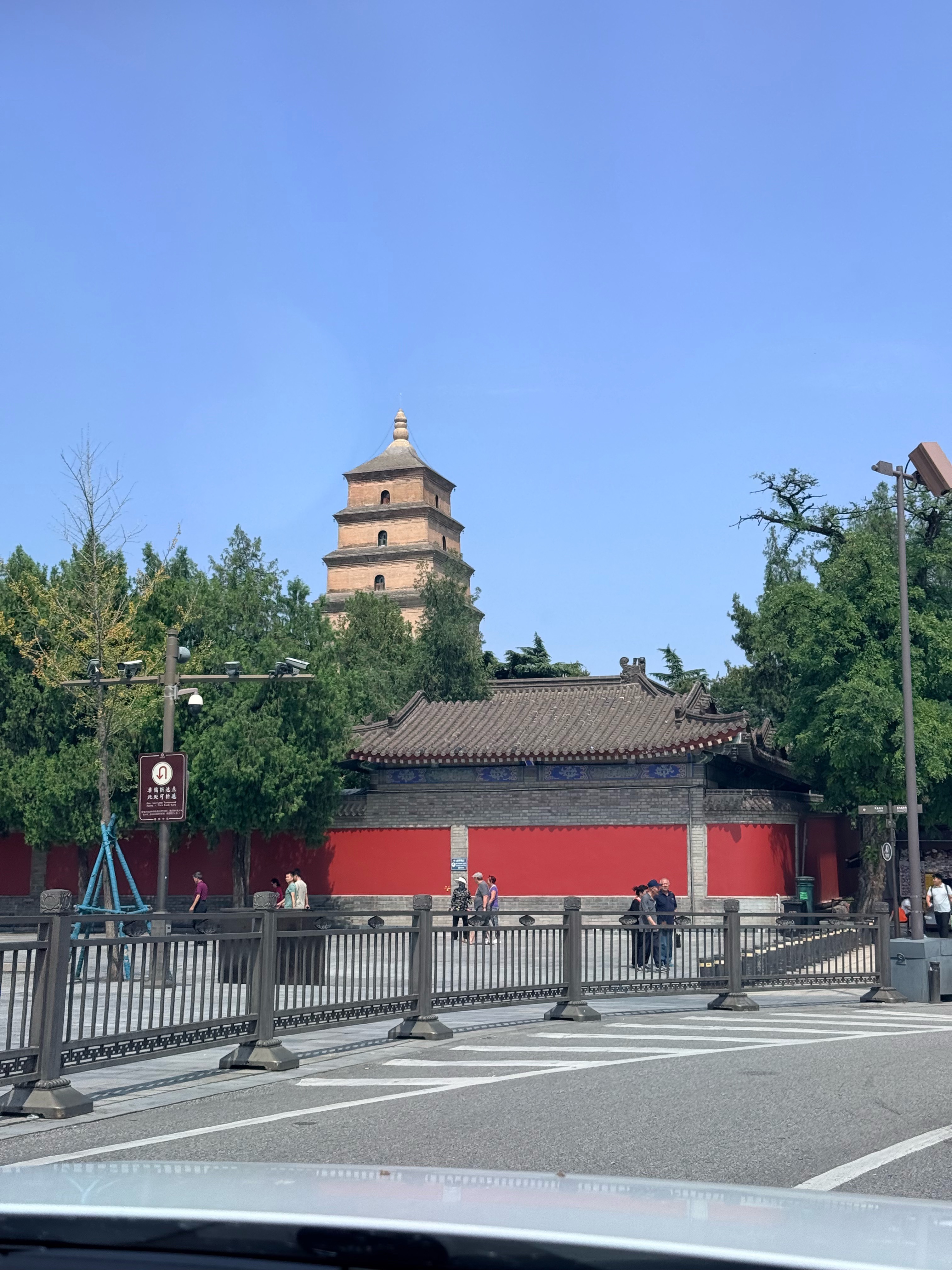 早安[超话] ☀️ ʍօʀռɨռɡ 💜🌷ˎˊ˗清晨，是一个希望，一个梦想。不
