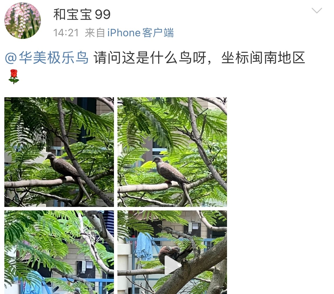 送分题环节～自信地说出它滴大名！ ​​​