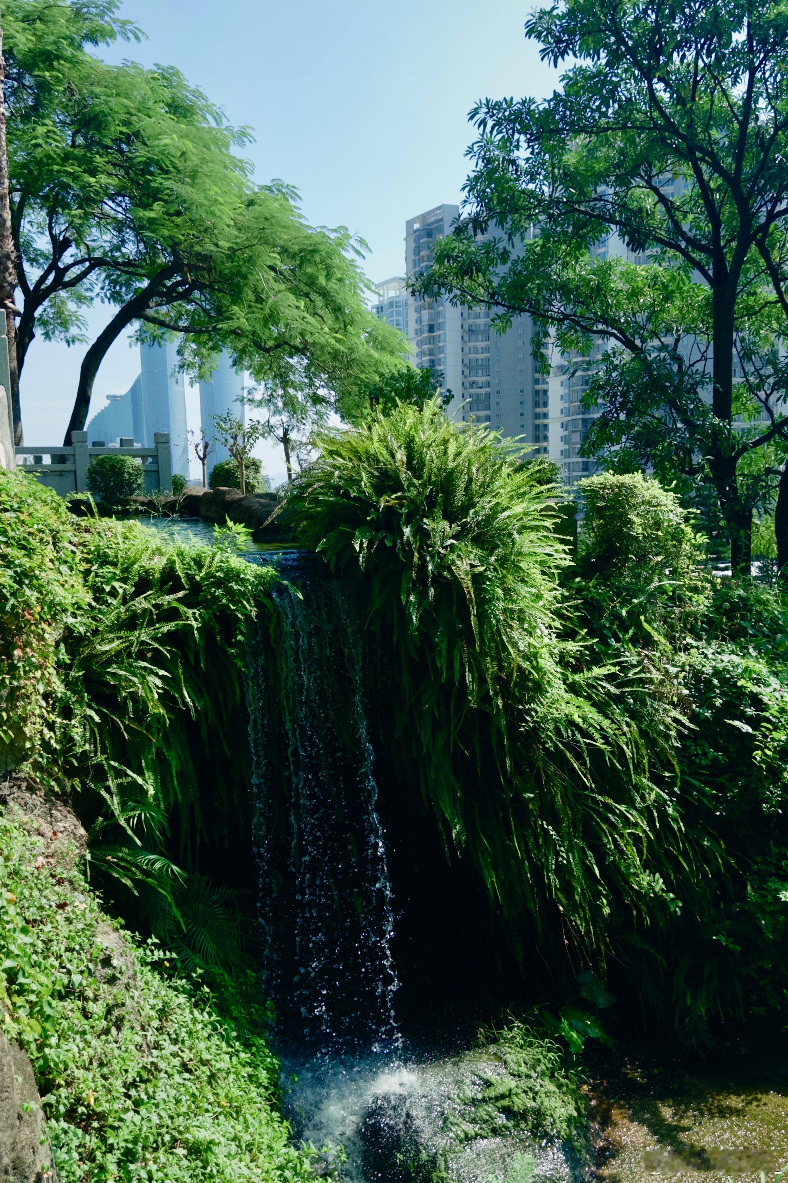 上山充电记录这一刻 ​​​
