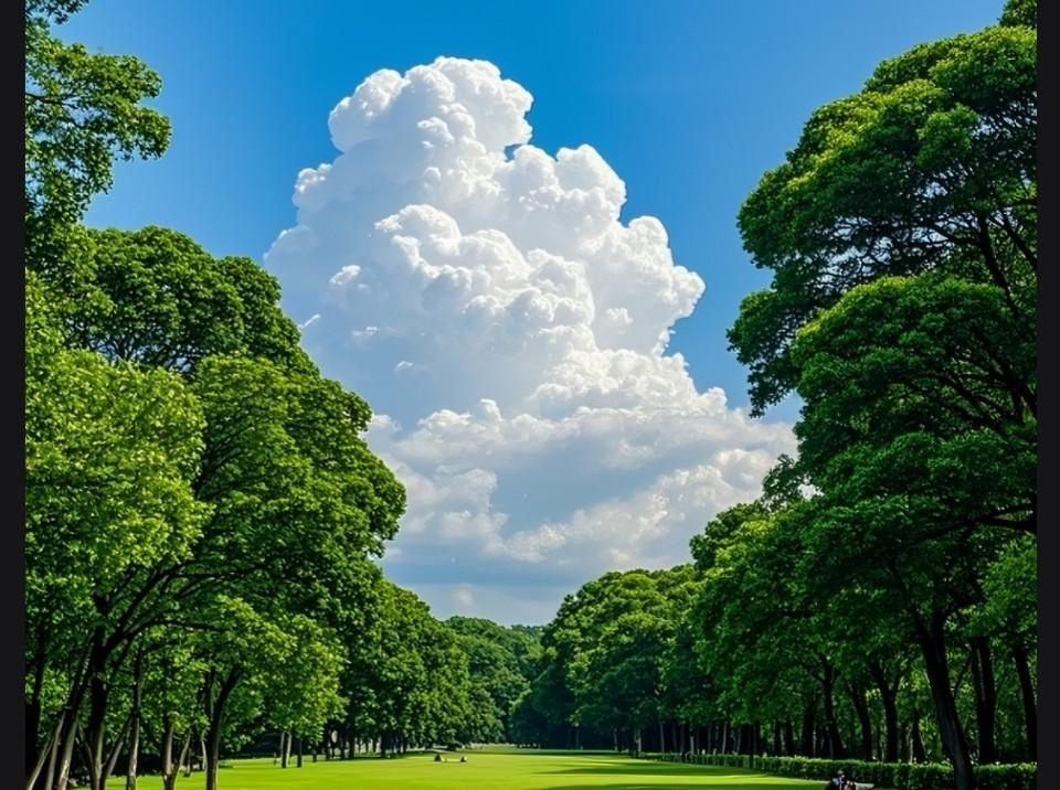 快来看看我新换的主页背景吧