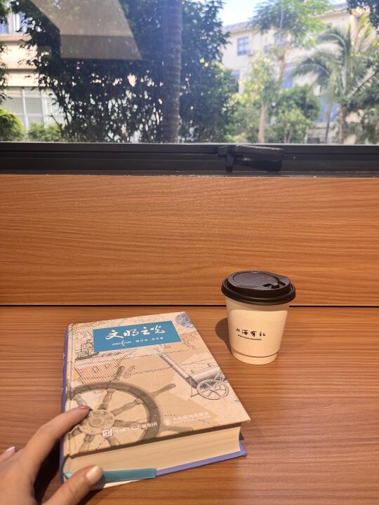 今年第一本大部头