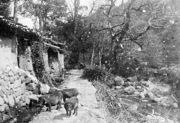 1984年，一名解放军战士不慎摔落悬崖和部队失去了联系，但令他万万没想到的是，他