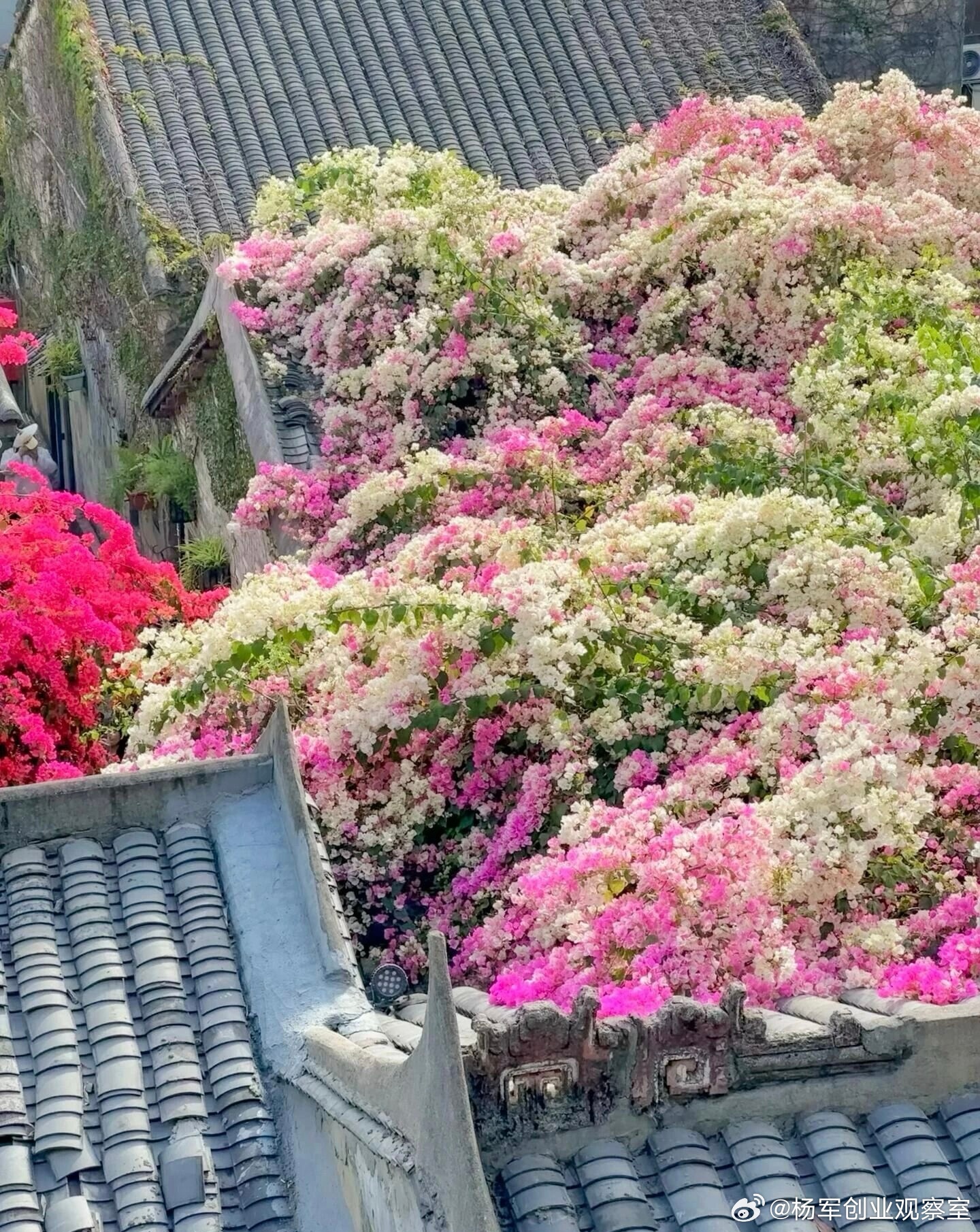 中小老板正面临困境：行业小而散，持续内卷，如何破局？股权合作：中小企业从“内卷”