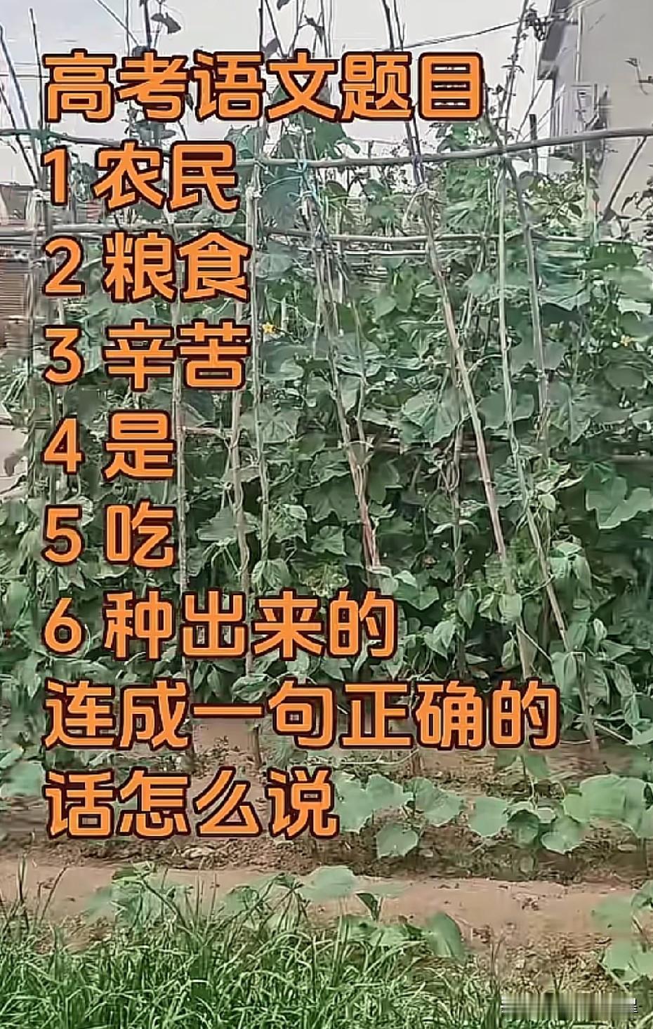 出这个高考语文题的老师，是不是太小儿科了，这么简单的题，也拿来做今年的高考语文试