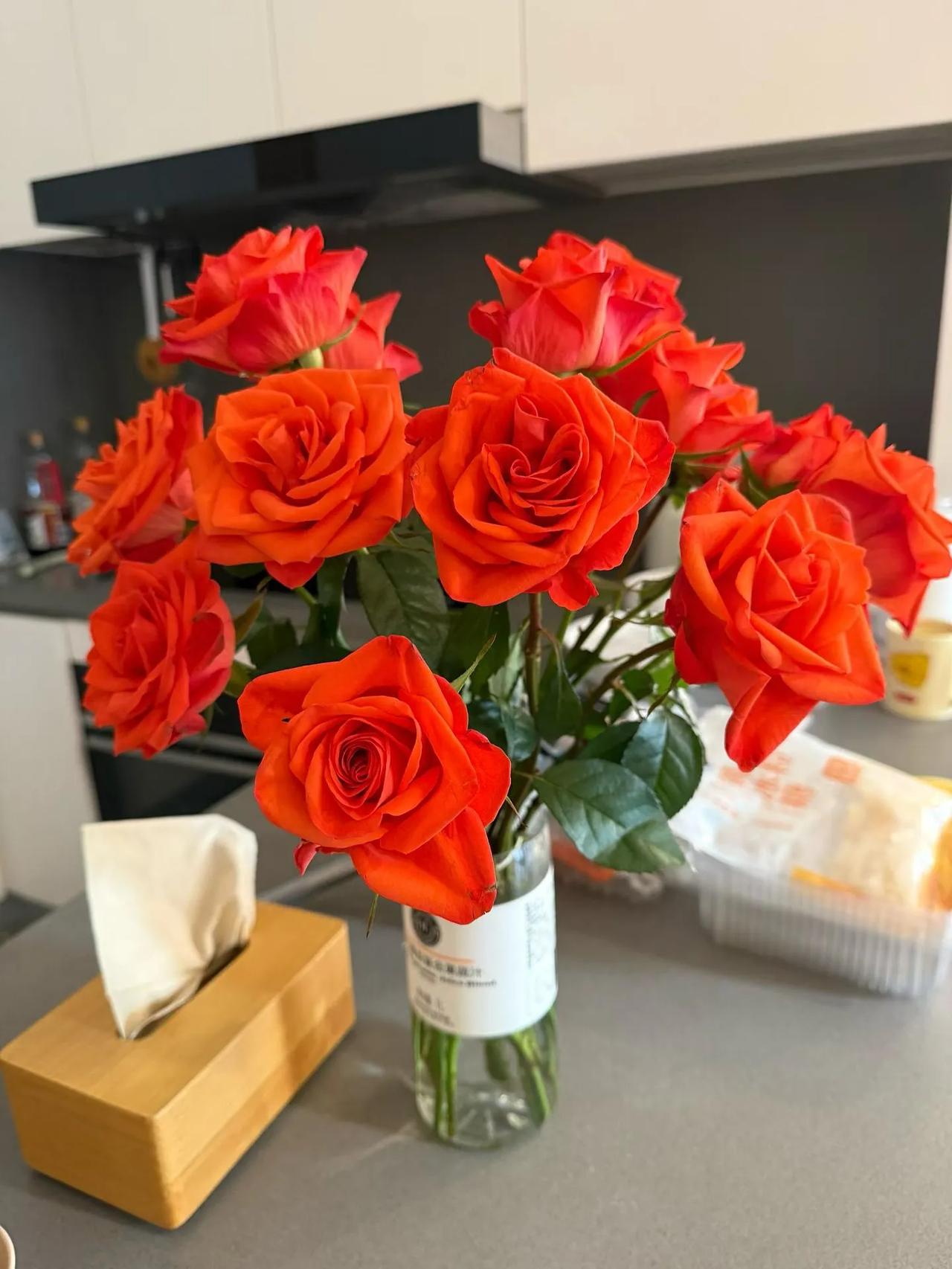 天南地北大拜年