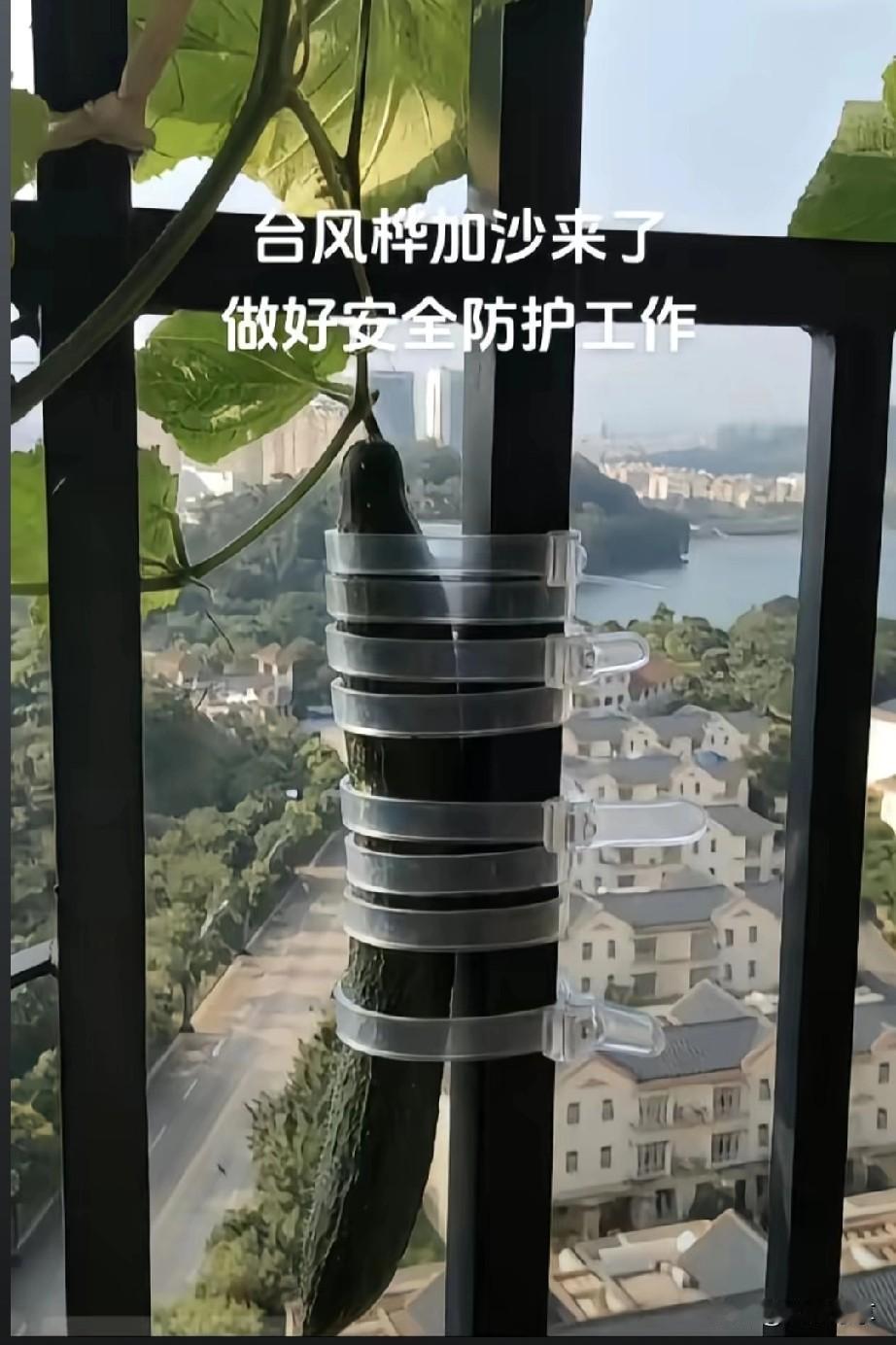 这栏杆靠得住不？
连窗都吹没了，怎么绑都没有，还是放肚子里方便。我劝你，还是赶紧