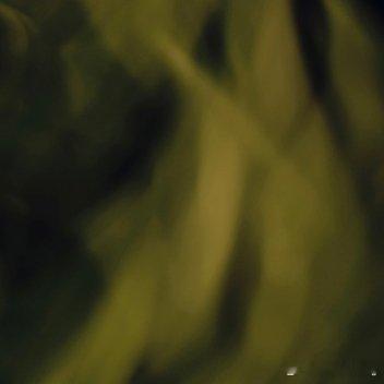 每日一善[超话]‍每日‬一善 [熊猫]阳光信用  心中不可少善，行事不可无善。人