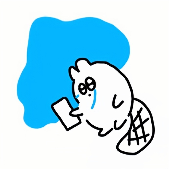流泪猫猫表情 * ꉂ ･ ･ ​​​