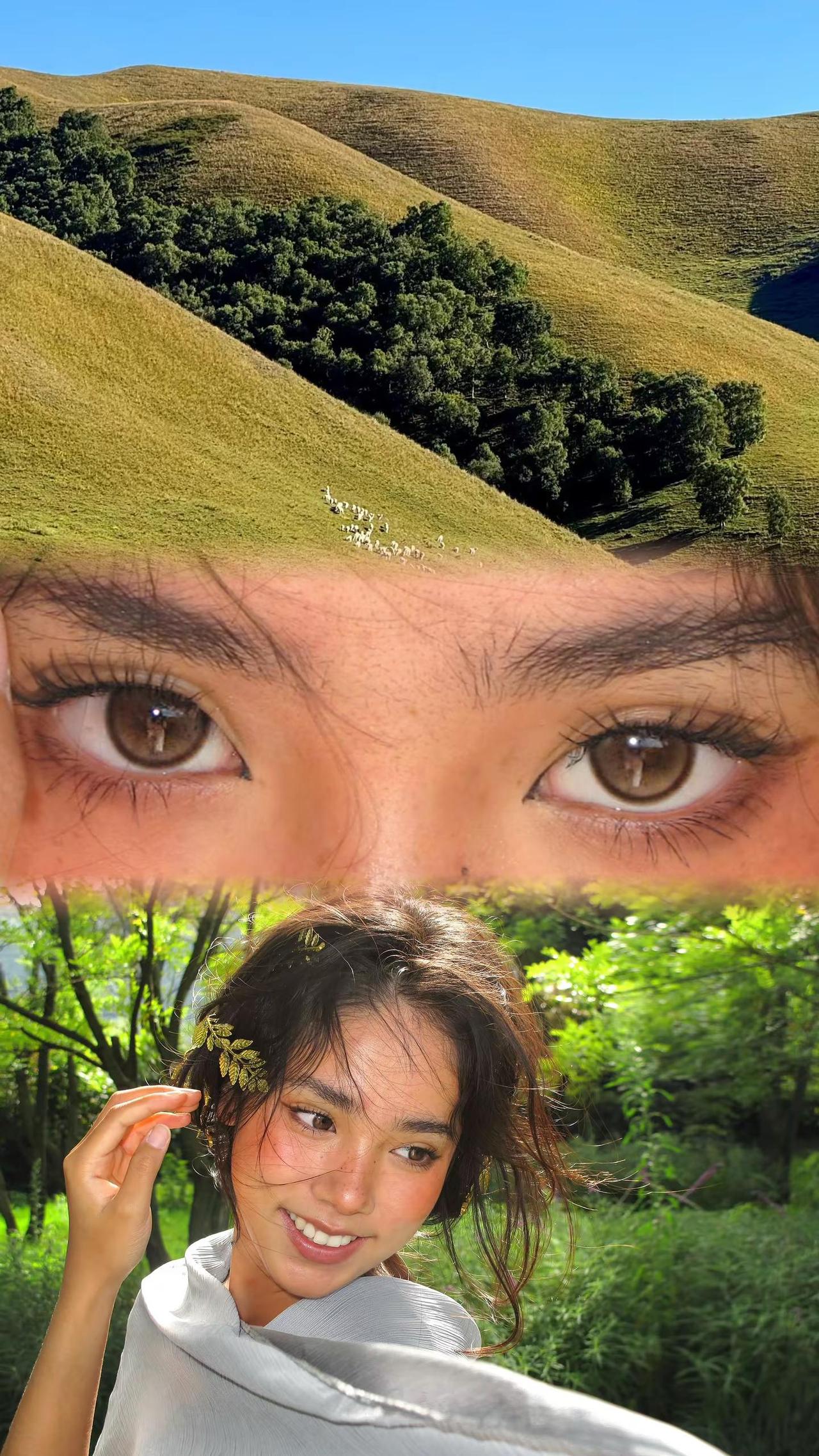 亲爱的塞西莉亚 我们缘分未尽inmyfeelings 大自然 缪斯