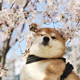 铭楠热读科技