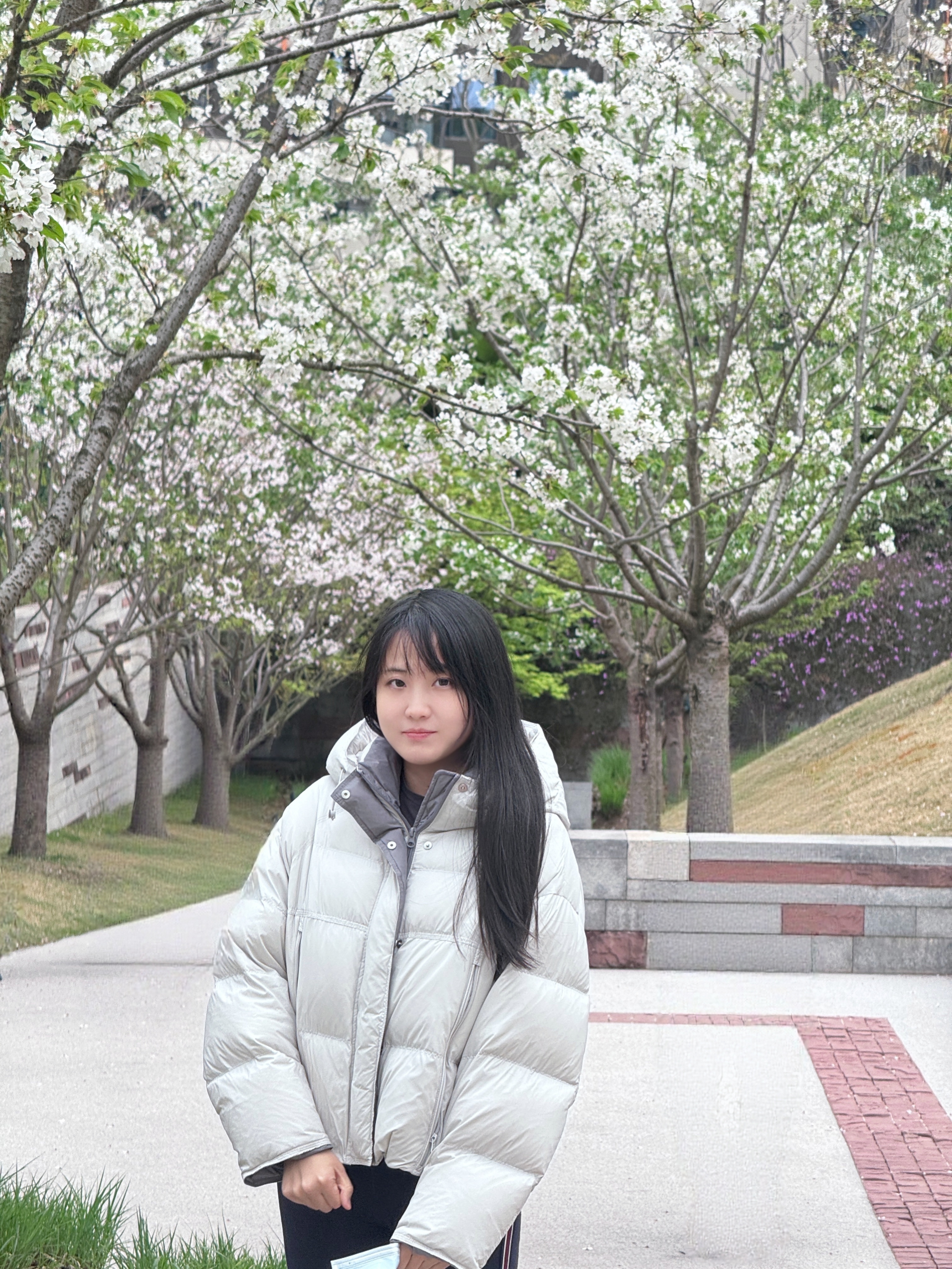 没什么才艺，给大家表演一下本人和樱花🌸合个影我的日常plog记录春日浪漫 成都