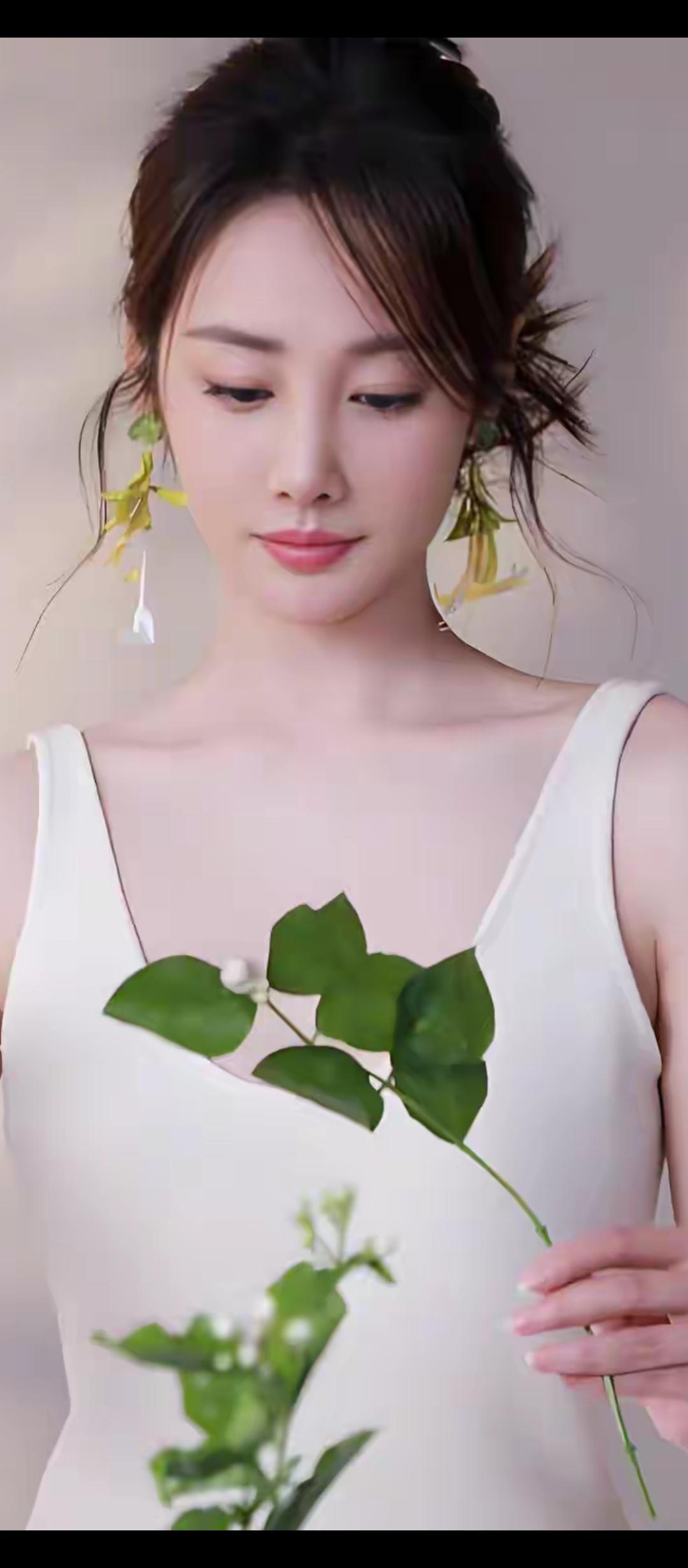 温柔花语，静谧时光