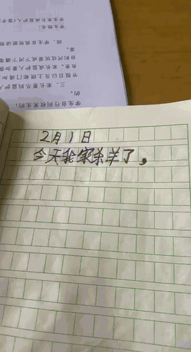 小学生：开学了，家里没一个活物