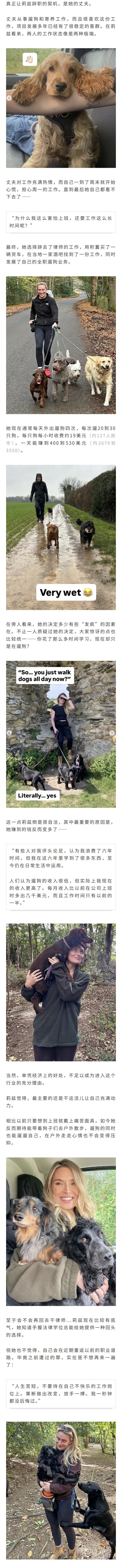 英国女子放弃律师工作全职遛狗日赚几千？自称精神状态大回春，网友：这可学不来...