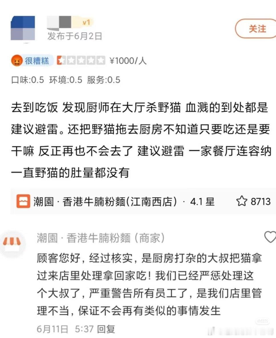 有需要的避雷 这一家的员工直接大厅杀猫 而老板关注点可能有点歪了……1955 