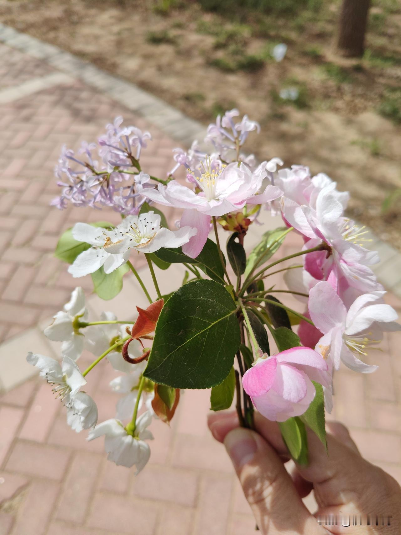 这头脑真是白费了，刚刚还在客厅拖地，结果看到地上有几根头发，我就放下拖把，去厨房