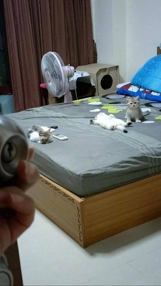 看来是睡不成觉了...[微笑]