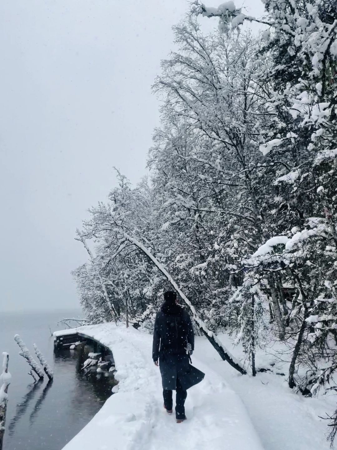 谁懂！大雪中的普达措真的好有氛围