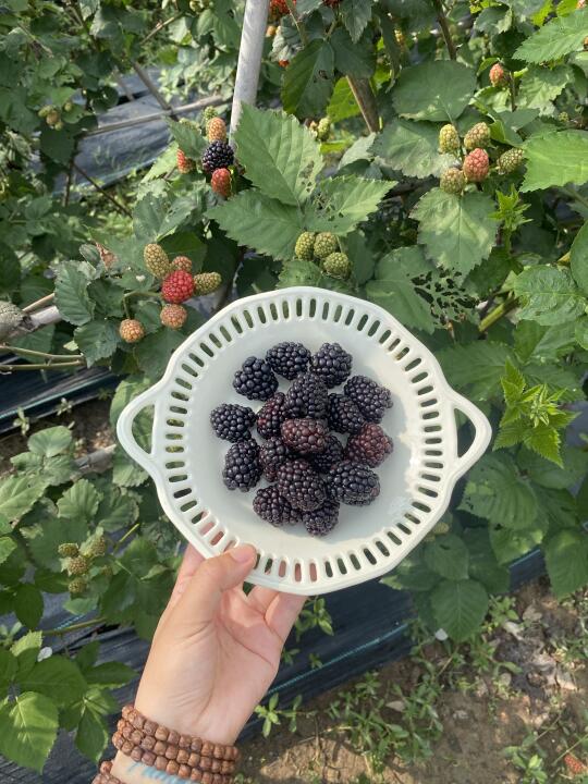 在这一刻真的“莓烦恼”诶🧃～