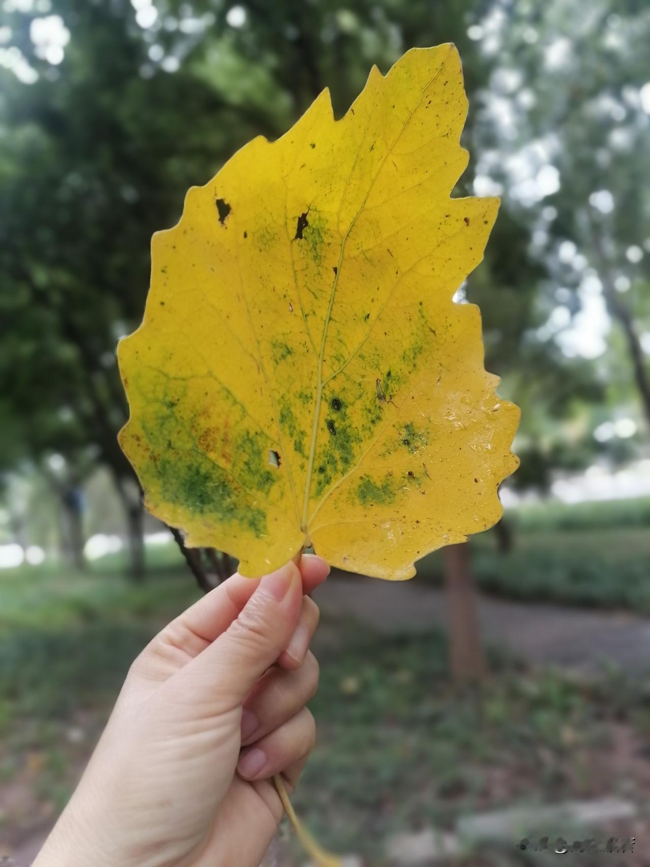感情里你愿意主动妥协吗分什么问题，原则问题当然不能妥协，都践踏你的尊严了，还妥协