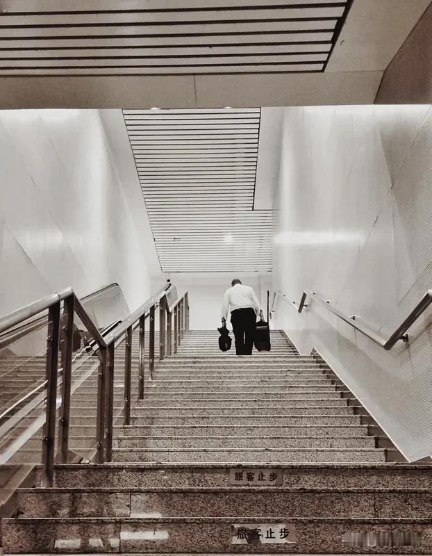 每天起早贪黑忙忙碌碌为的什么呀? 每天起早贪黑忙忙碌碌究竟所为何事？ 每天起早贪