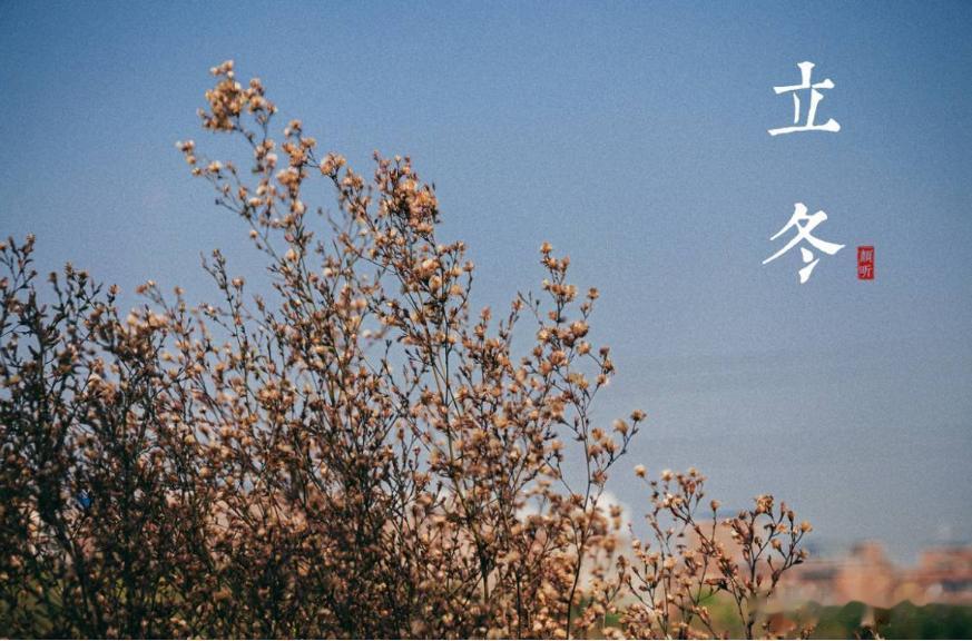 立冬寒衣前，必定是丰年，今年立冬不一般，记得吃5宝迎接好运道
今天分享的是立冬的