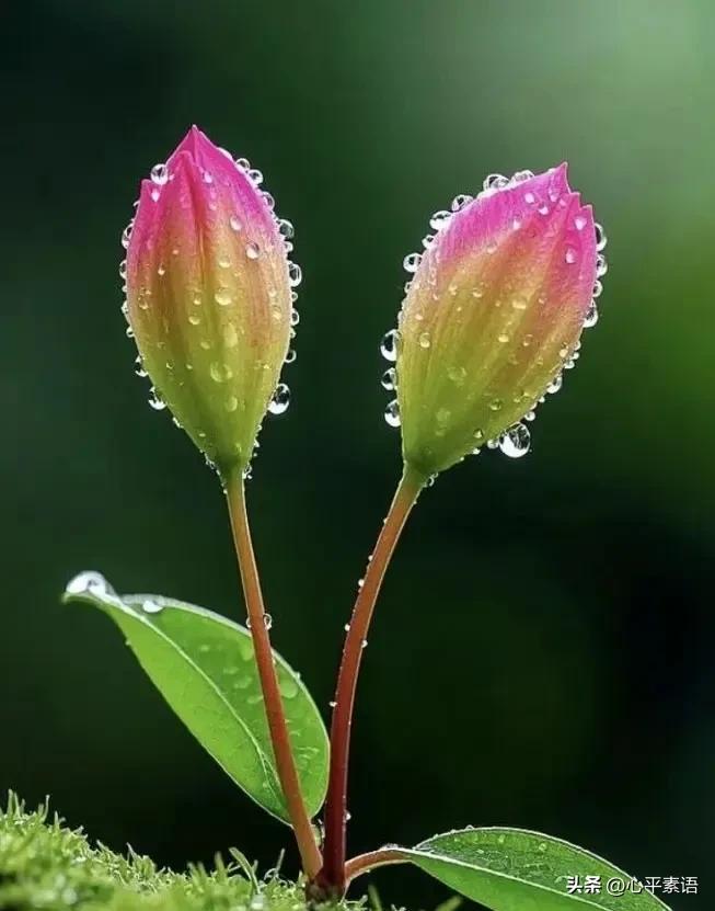 一位老中医语重心长地说：
“你夏天贪凉，
等于给冬天埋病！”

这句话，听着像吓