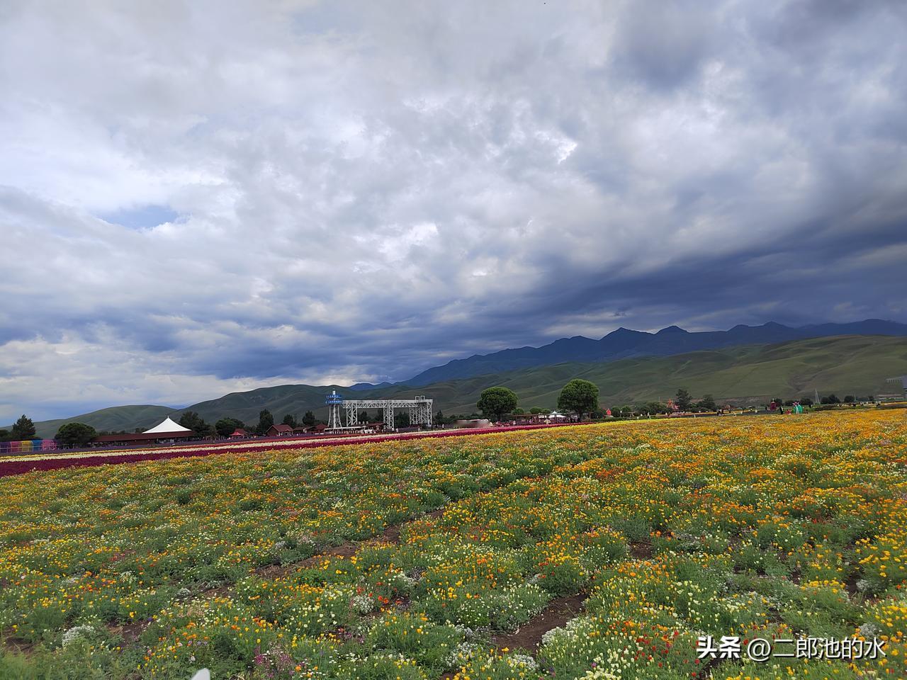 《巴音布鲁克草原》
如果说有一个地方
能够让你的灵魂彻底得到洗礼
那就是巴音布鲁