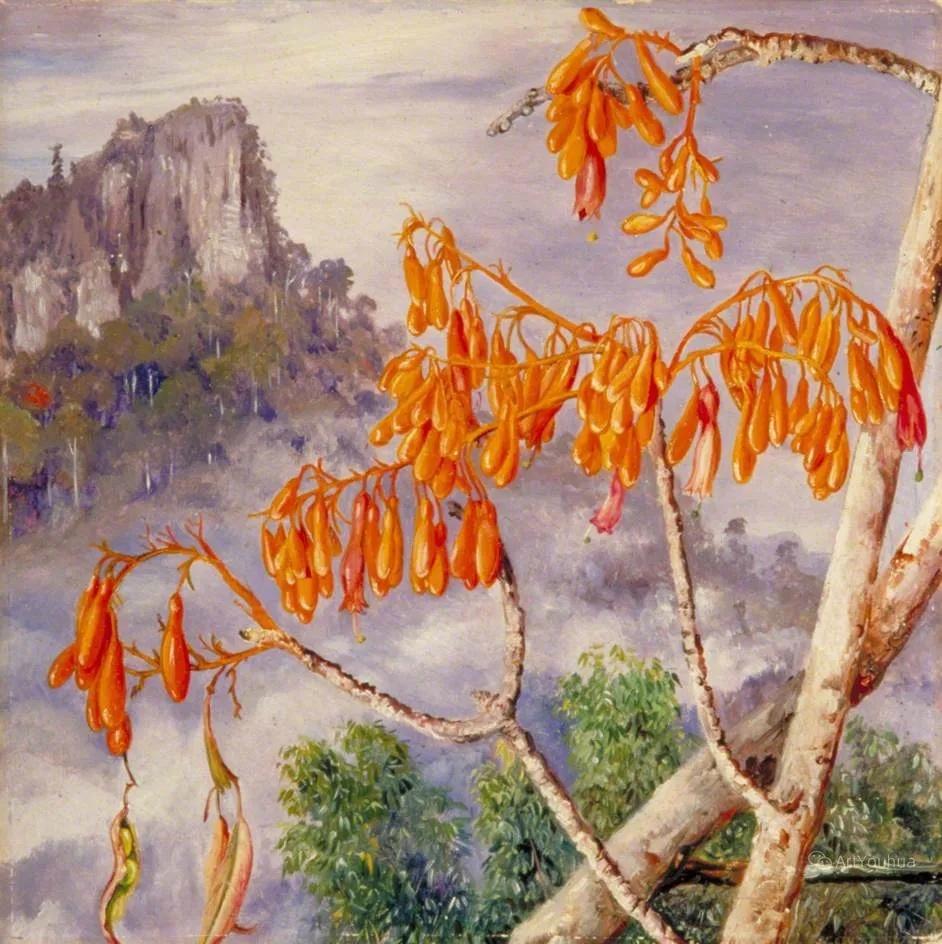 好逼真的植物画...
