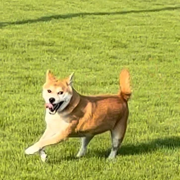 mon！i am free！