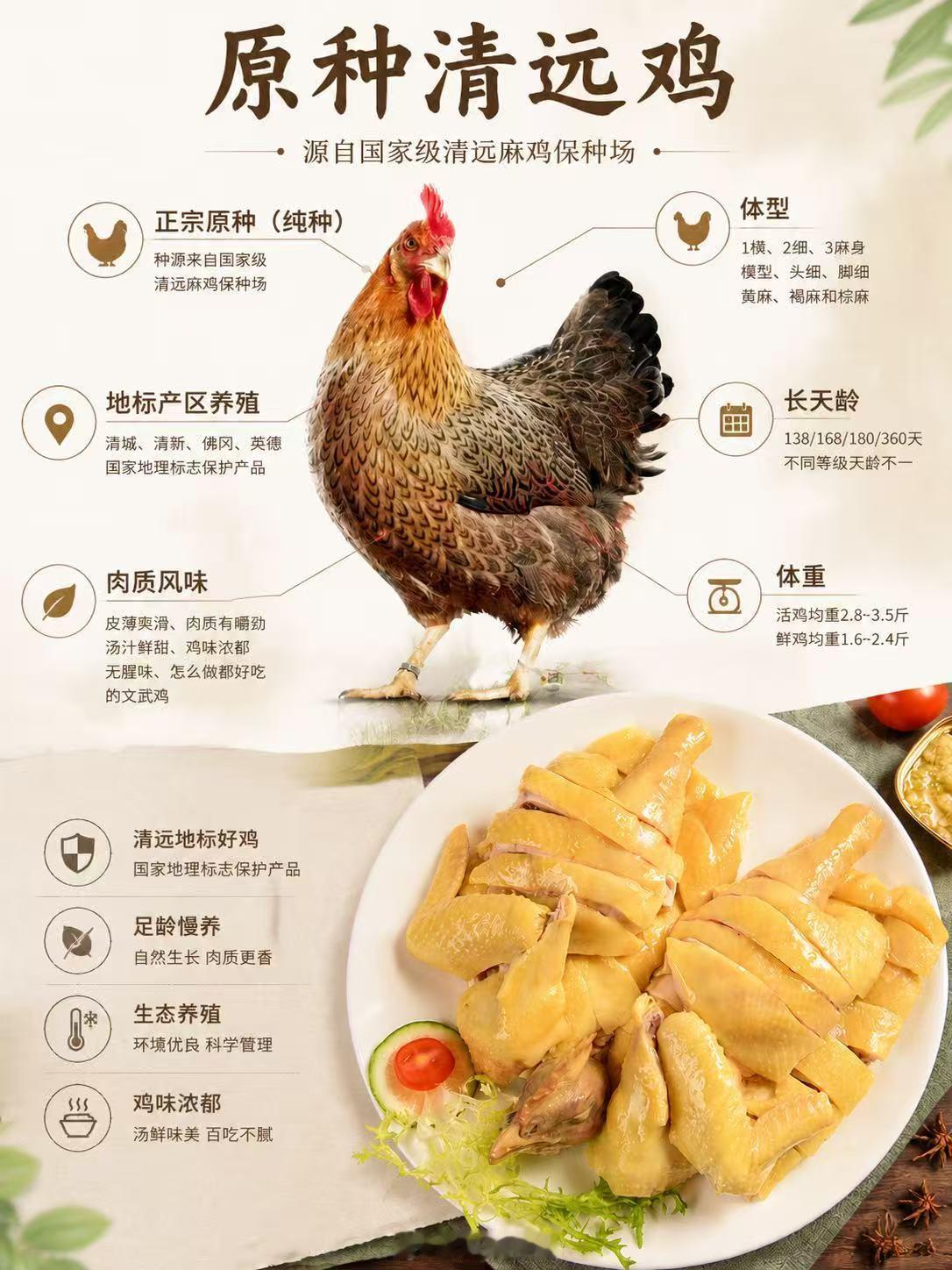 老广来了都竖大拇指明晚20:00不见不散 有整鸡有切块 行不行老广说话 清远本地