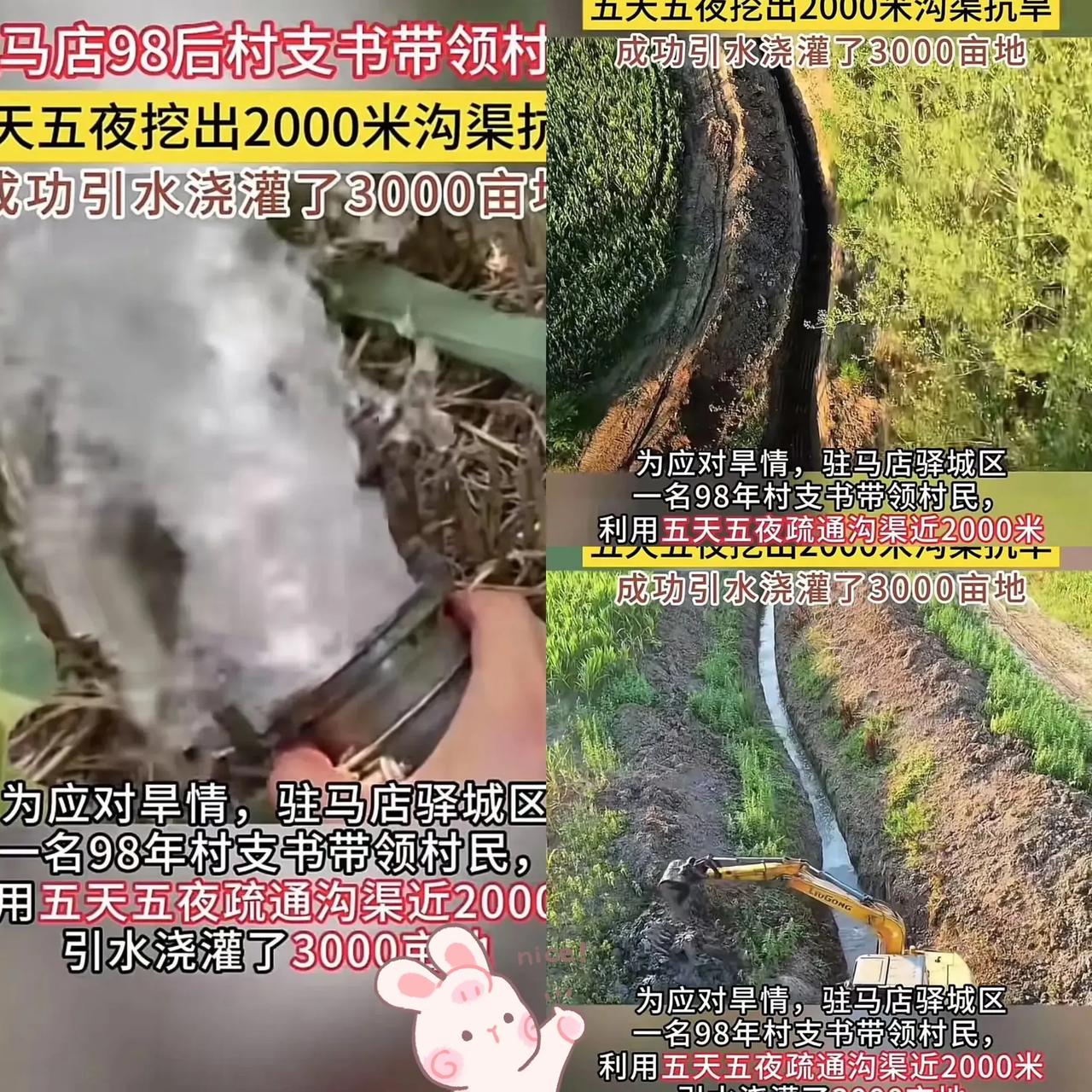 “这98后村支书，胆子太大了！”近日，持续的高温少雨天气让河南驻马店遭遇严重旱情