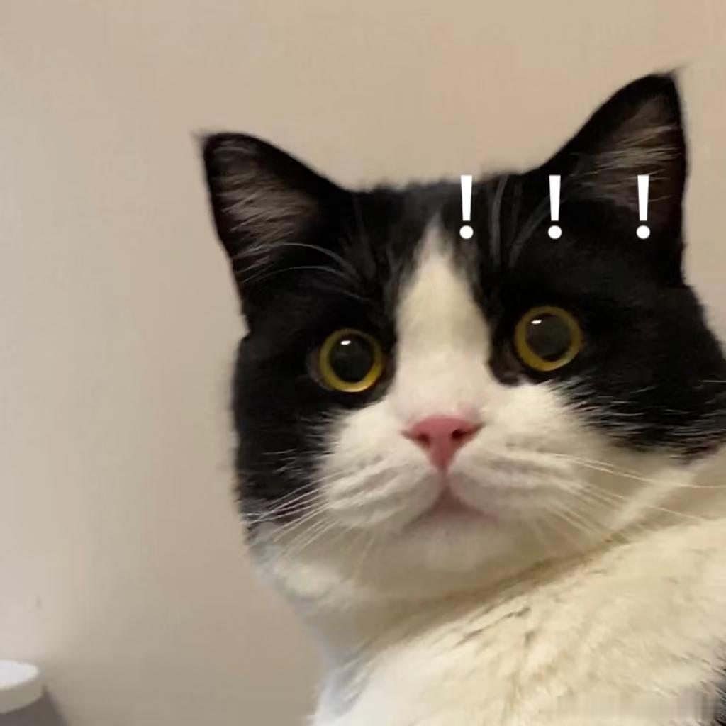 我忌妒你夜夜当新郎低智商犯罪陆一波一边哭一边扇自己巴掌的样子又好笑又可怜，到“我