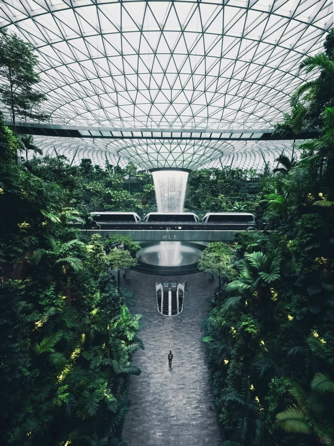 被热带雨林包围的机场🚈现实版的疯狂动物城