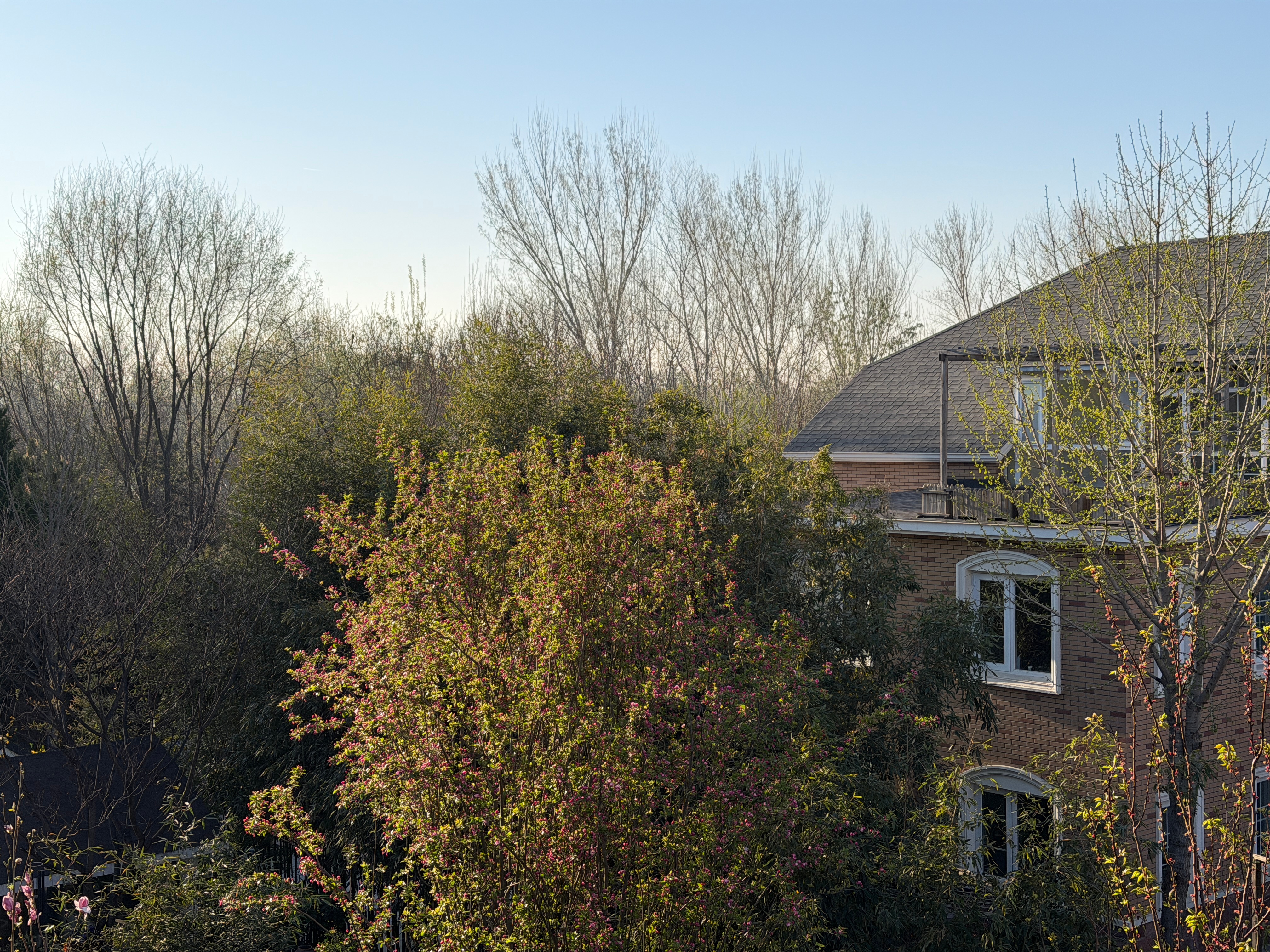 整个3月在家呆了不超过5天，感觉出去的时候北京还是冬天，归来已经春暖花开4月还得