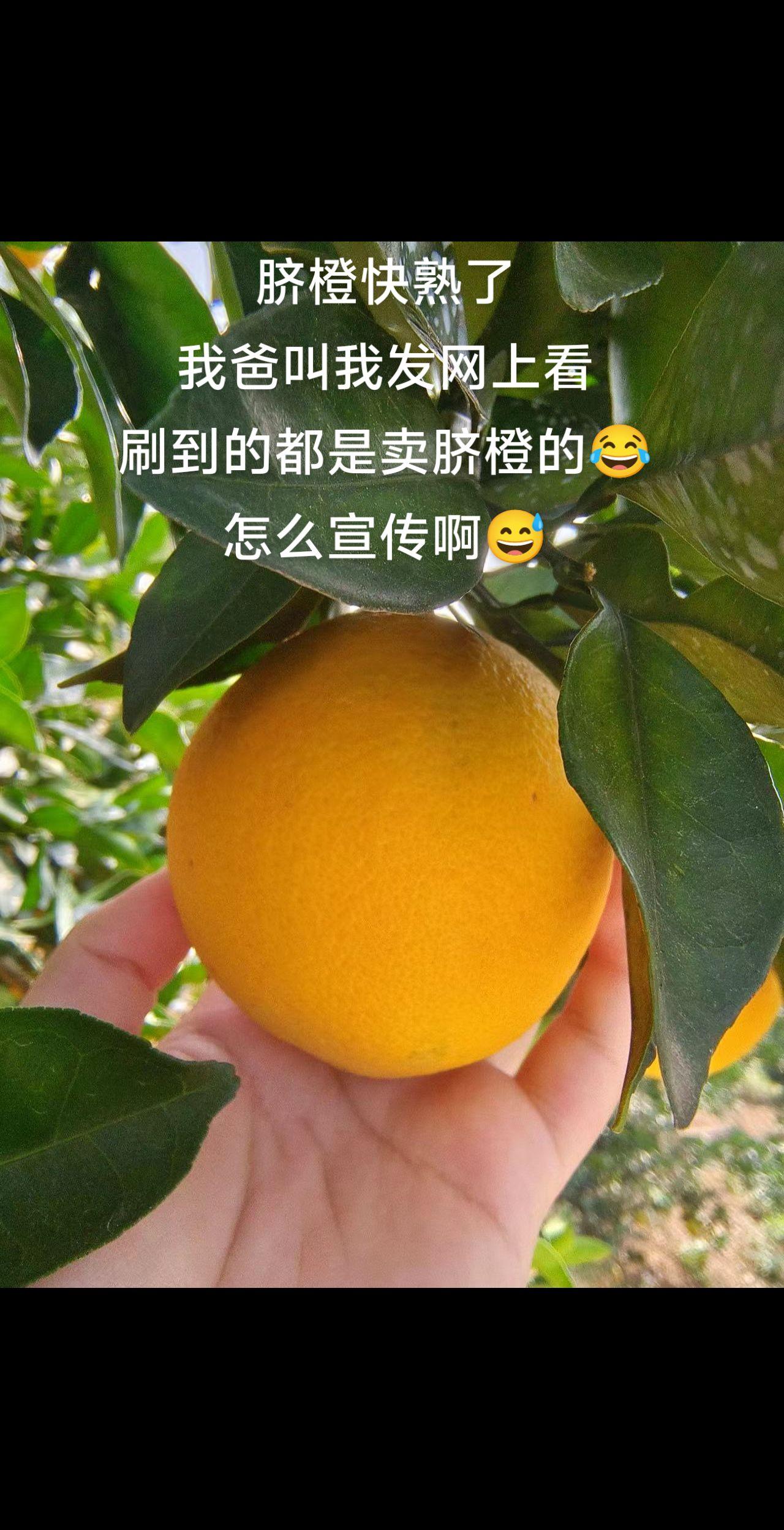 视频出赣州了吗😂。