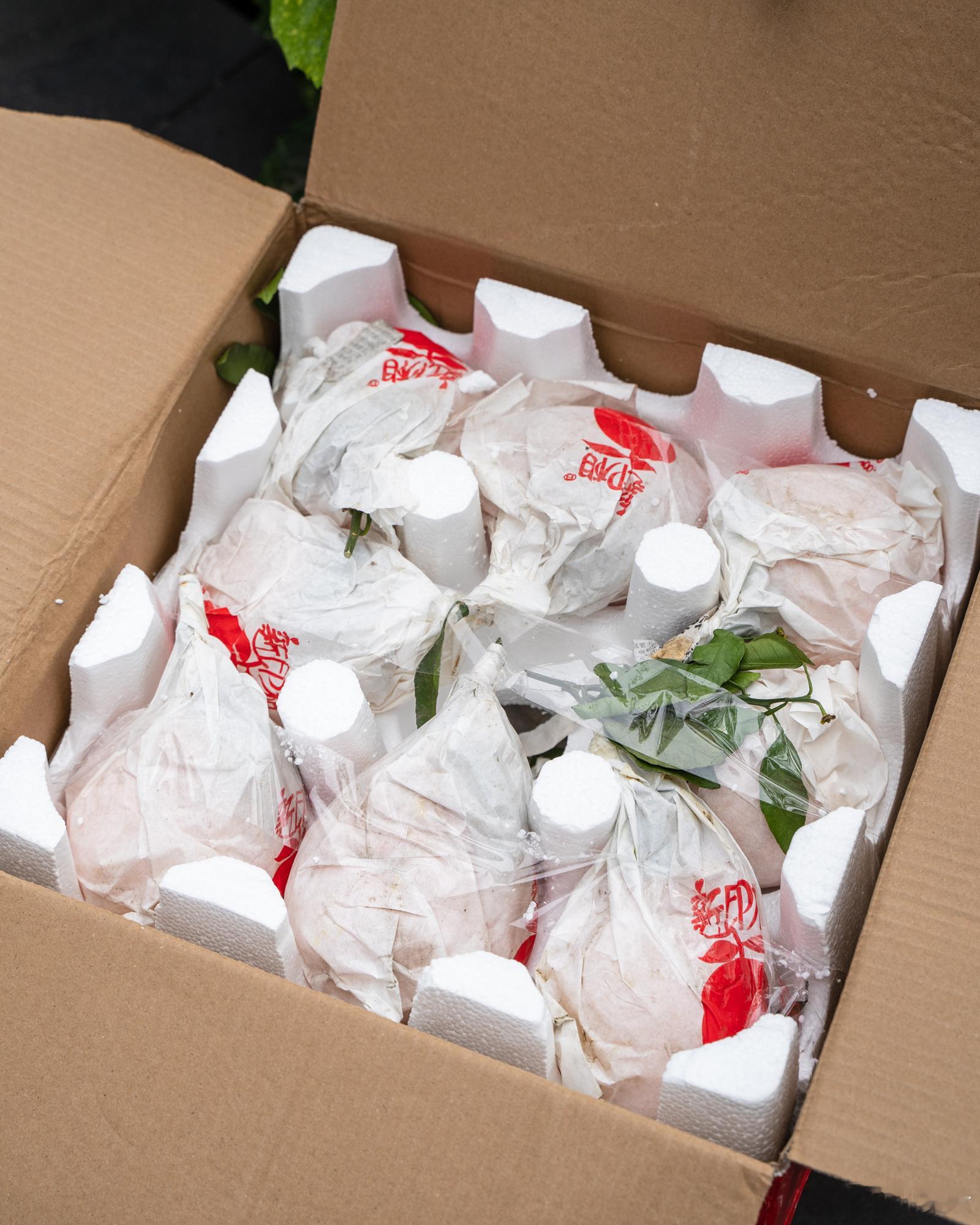 耙耙柑的接班人不知火丑橘，甜酸脆的口感，果皮丑厚硬，却包裹着脆嫩多汁的果肉，已经