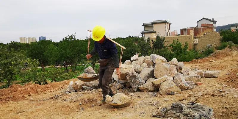 勤勤恳恳种菜，踏踏实实干活。